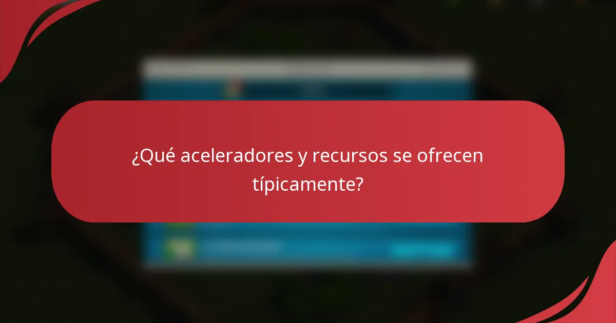 ¿Qué aceleradores y recursos se ofrecen típicamente?